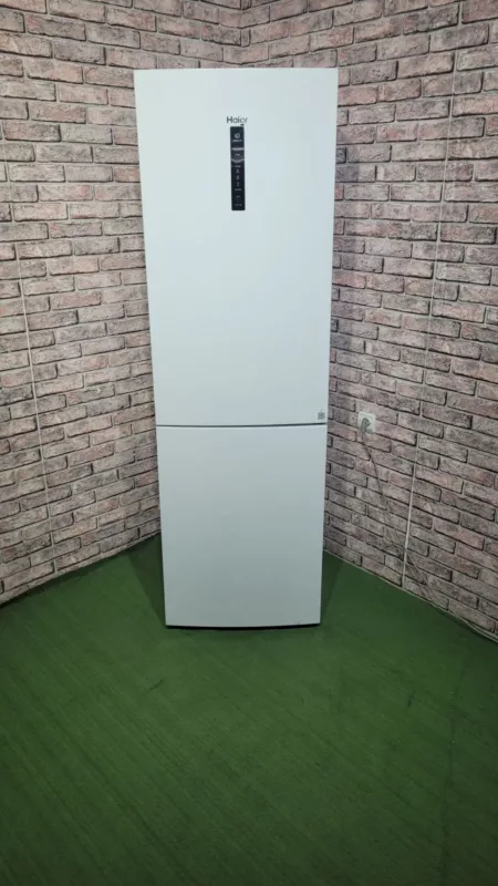 i 61